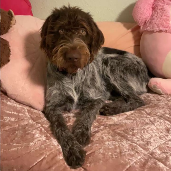 Meet your Posher, Melissa - Picture 5 of 6